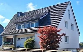 Pension Braun